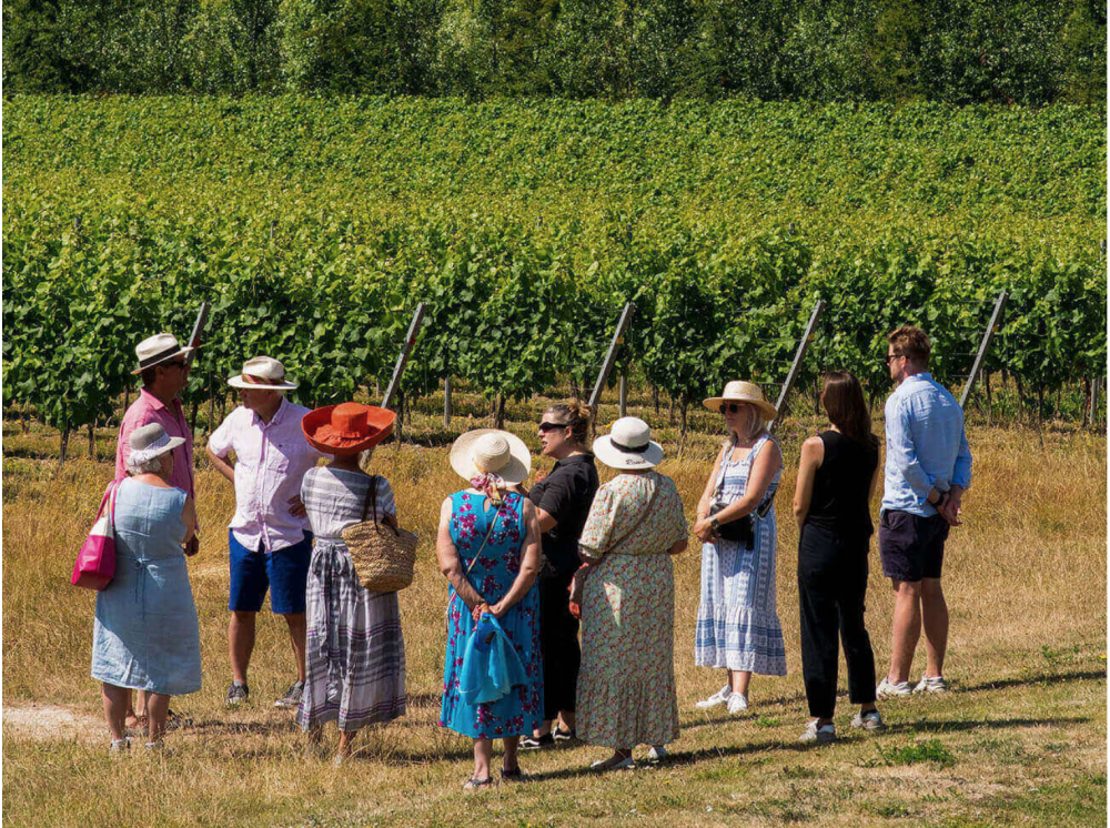 Image for MP visits vineyard to celebrate Sussex GI status